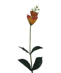 Pé Flor 4122*