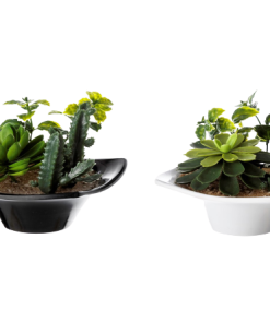 Vaso Com Cacto 98257-